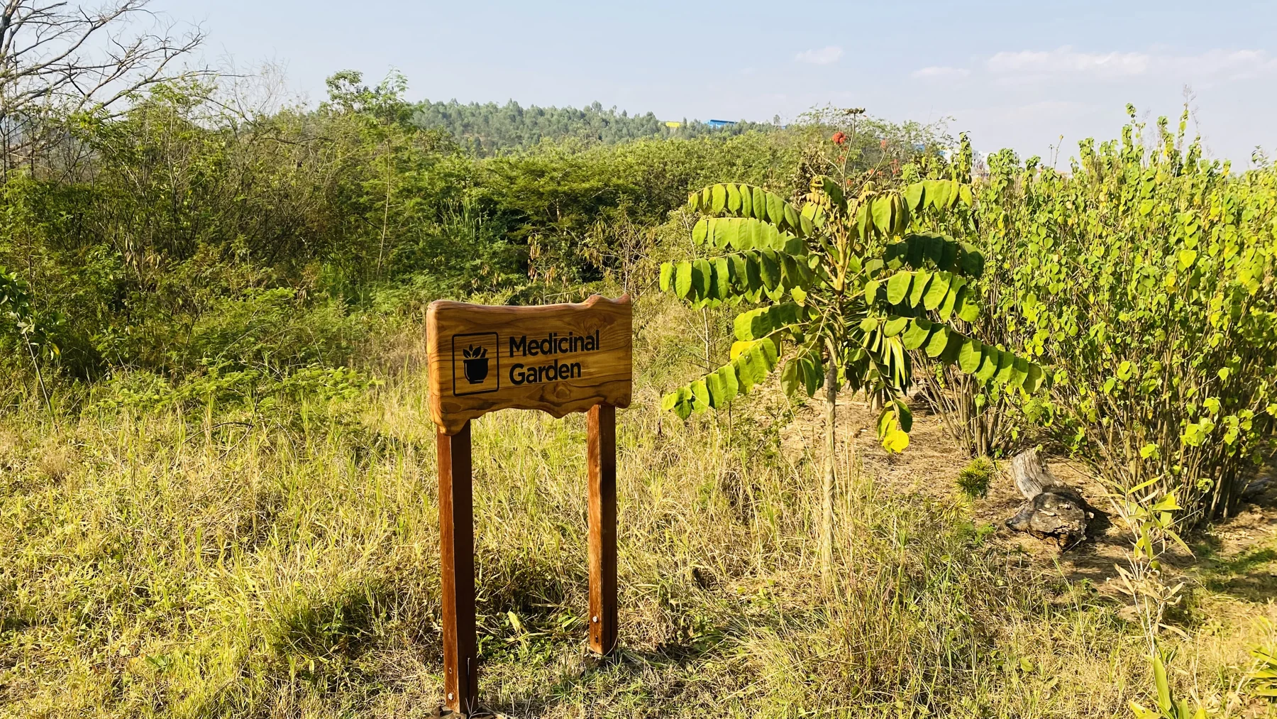 The medicinal garden area at Nyandungu Urban Wetland Eco-Tourism Park.